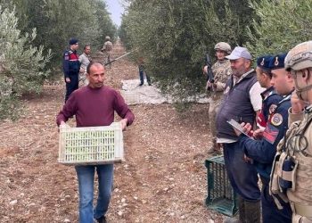 Zeytinliklerde komando nöbeti