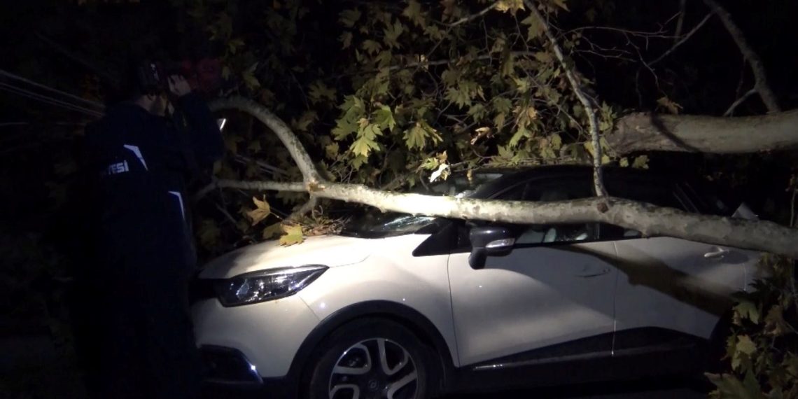 Ağaç ve elektrik direği araçların üzerine devrildi, 2 araç hasar aldı