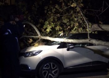 Ağaç ve elektrik direği araçların üzerine devrildi, 2 araç hasar aldı