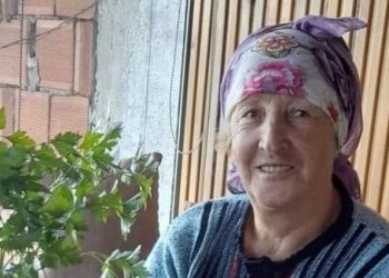 Arabanın çarptığı yaya öldü