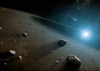 Asteroid kesimleri mercek altında