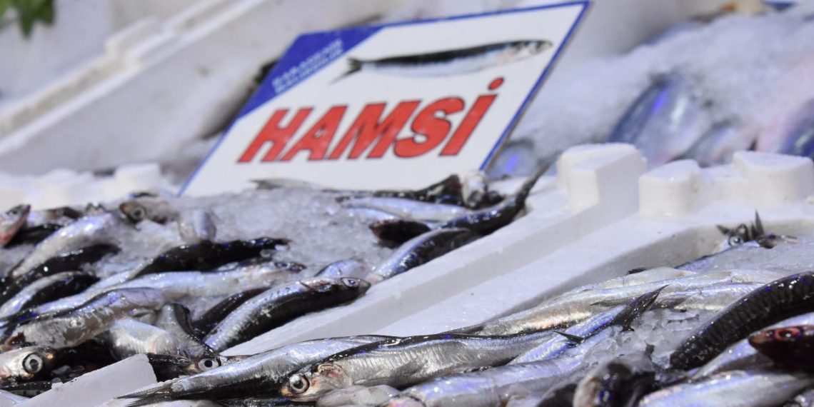 Balık stoklarında çöküş