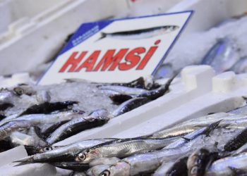 Balık stoklarında çöküş