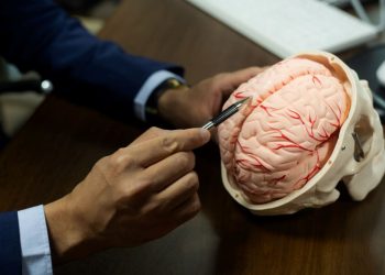 Bilim insanları bedenden bağımsız olan beyni canlı tutmayı başardı