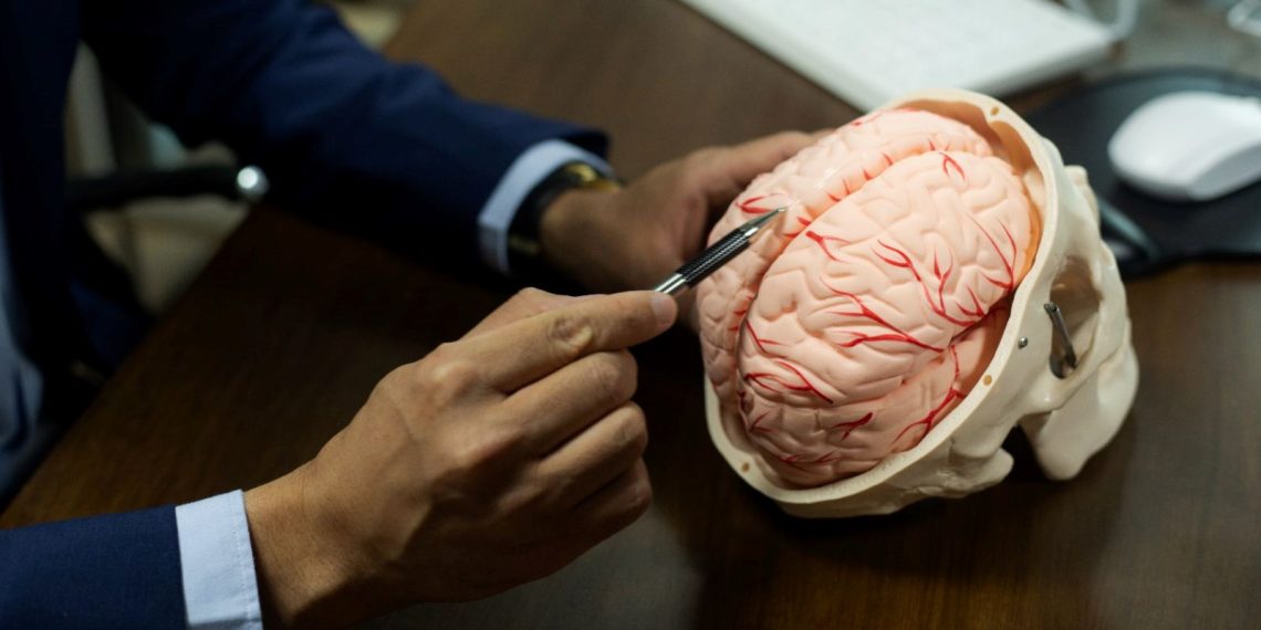 Bilim insanları bedenden bağımsız olan beyni canlı tutmayı başardı