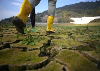 BM: İklim krizi denetim altına alınamıyor