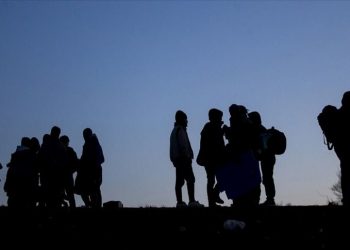 Bodrum’da 50 sistemsiz göçmen yakalandı