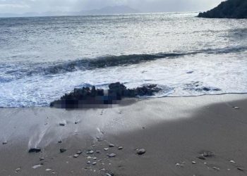 Bodrum’da biri kıyıda oburu denizde 2 erkek cesedi bulundu