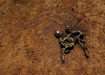 Bu yıl en az 17,6 milyon çocuk açlık içinde doğacak