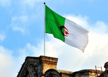 Cezayir Fransızların kaçırdığı 2 milyon belgeyi geri alacak