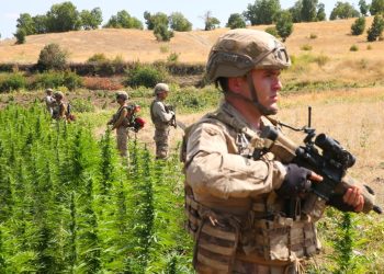 Diyarbakır’da 312 kilogram esrar ele geçirildi