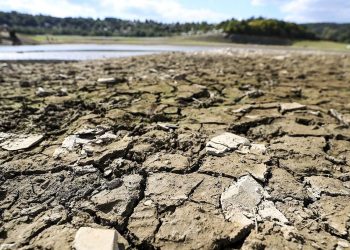 Dünyanın kurak bölgeleri göç riski altında
