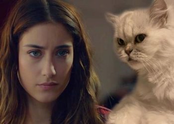 Hazal Kaya’dan 12 yıllık kedisi Leyla’ya veda: Yalnızca ağlıyorum