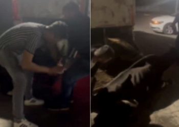 İneğe içki içirip, kayda almışlardı: Cezaları belirli oldu