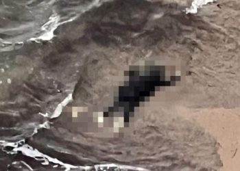 Kaçakları taşıyan bot battı: 5 meyyit