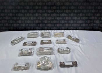 Kapıkule’de 33,5 milyon lira başkasında 25 kilo külçe altın ele geçirildi