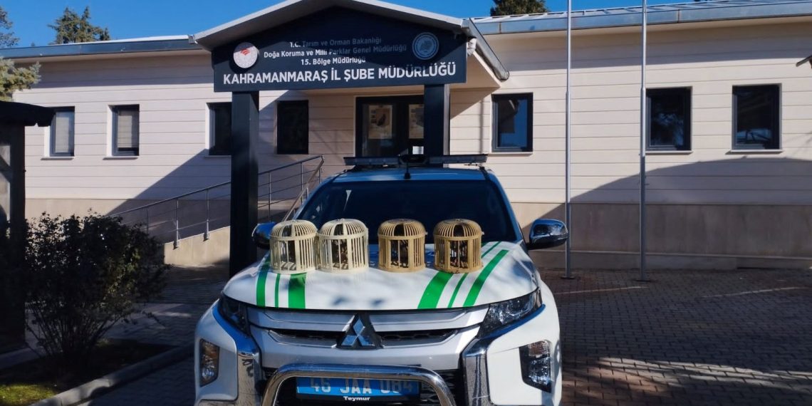 Konteyner kentte keklik beslemeye 26 bin lira ceza