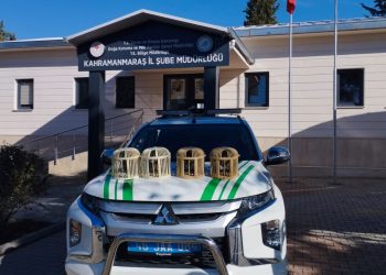 Konteyner kentte keklik beslemeye 26 bin lira ceza