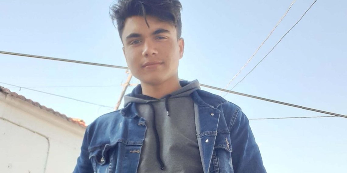 Kozalak toplamak için ağaca çıkan genç akıma kapılıp öldü