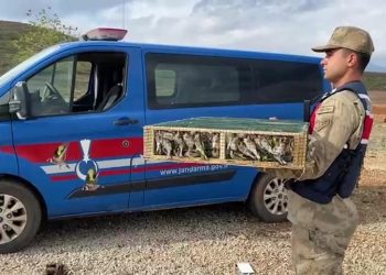 Kuşağı tehlike altındaki 4 bin kuşla yakalandı: 5 milyon 600 bin TL ceza uygulandı