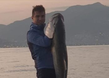 Olta ile 1 metre 60 santimetre uzunluğunda balık tuttu