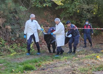 Ormanda yanmış erkek cesedi bulundu