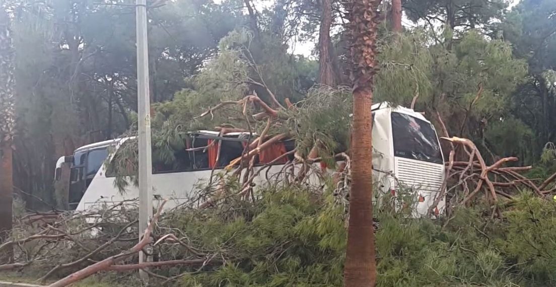 Otobüsün üzerine ağaç devrildi: 7 yaralı