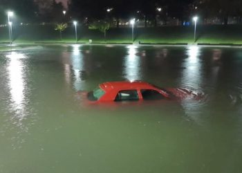 Park halindeki aracını çıkarmak isterken gölete düştü