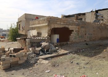 Park halindeyken hareket eden TIR konuta girdi