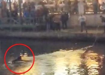 Porsuk Çayı’na düşen bayan can simidiyle kurtarıldı