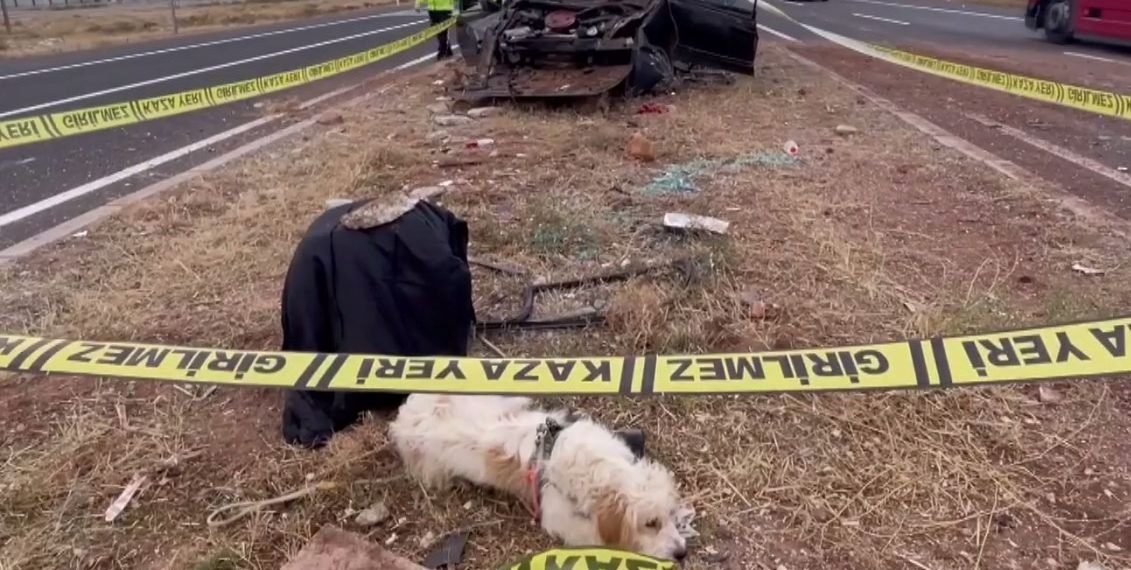 Sahibi ölünce kaza yerinden ayrılmadı