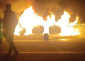 Şoför ve vatandaşlar son anda fark etti: Hayvanlar yanmaktan kurtuldu