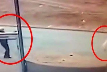 Sokak köpeğini tüfekle öldüren kuşkulu gözaltına alındı