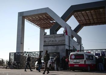 Türk ve KKTC vatandaşları ile yakınlarından oluşan 100 kişi Mısır’a ulaştı