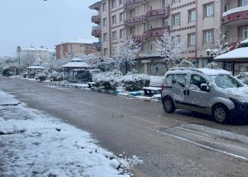 Van’ın Muradiye ilçesinde kar yağışı