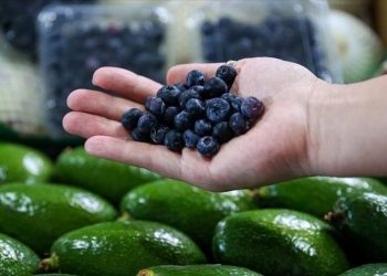 Yer altı suyuna tropik meyve tehdidi