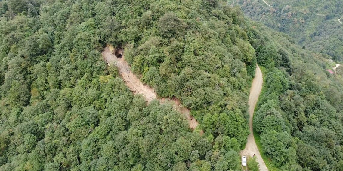 11 vilayette orman hudutları dışına çıkarma kararı