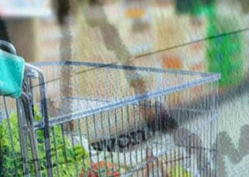 Yılın İlk TÜFE Rakamları Belli Oldu: Emekli, Bu Veriyi Bekliyordu