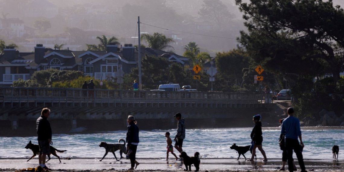 ABD’de köpekler ortasında salgın: Yeni bakteri tipi kuşkusu