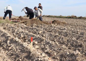 Adana’daki Magarsus Antik Kenti’nde kazılarda hedef Büyük İskender’in ibadethanesi