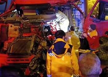 Ağaca çarpan TIR’ın kabinde sıkışan sürücüsü takımlarca çıkarıldı