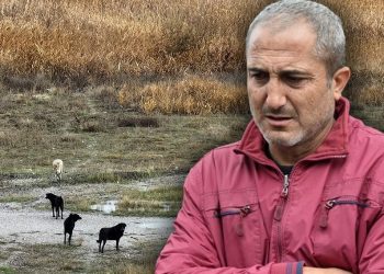 Ankara’da sahipsiz köpeklerin saldırısına uğrayan Tunahan’ın durumu güzele gidiyor
