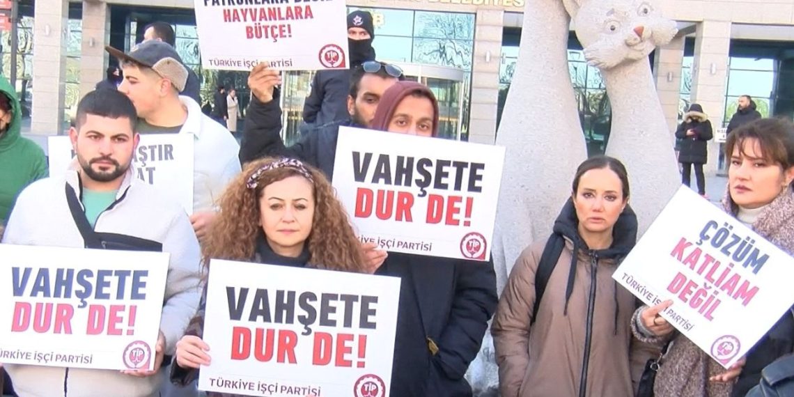 Ankara’da sokak köpeklerinin toplanmasına reaksiyon