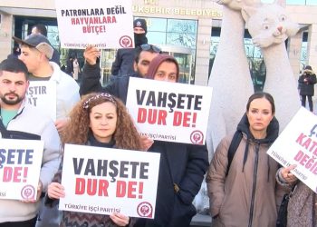 Ankara’da sokak köpeklerinin toplanmasına reaksiyon