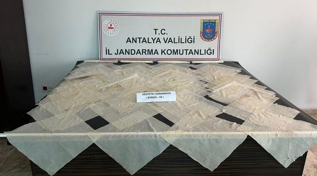 Antalya’da piyasa kıymeti 2 milyon TL olan bonzai ele geçirildi