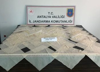 Antalya’da piyasa kıymeti 2 milyon TL olan bonzai ele geçirildi