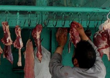 Batman’da ele geçirilen 1 ton 150 kilo kaçak et imha edildi