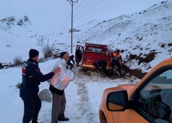 Bayburt’ta iki kişi yaylada mahsur kaldı