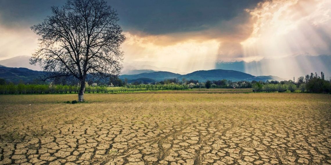 BM İklim Değişikliği Sekreteri Stiell’den fosil yakıt daveti