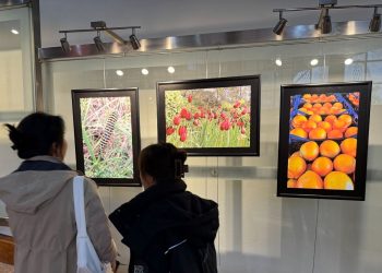 Cumhurbaşkanı Ersin Tatar’ın objektifinden KKTC fotoğrafları standı İstanbul’da açıldı